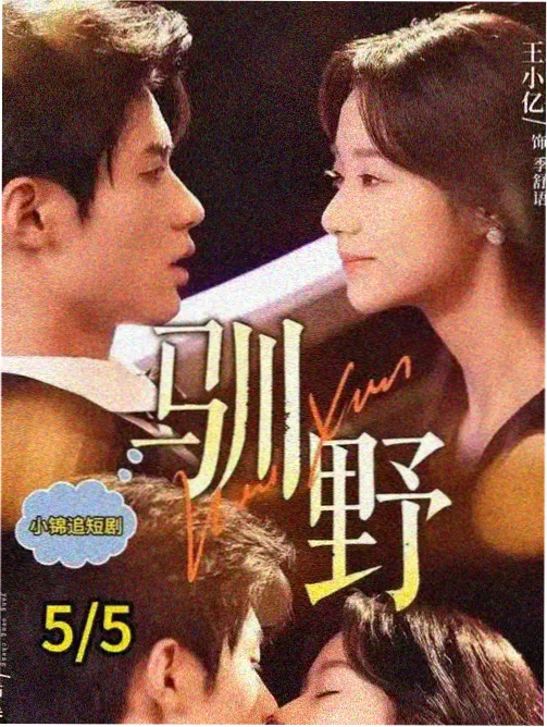 给海的一封信