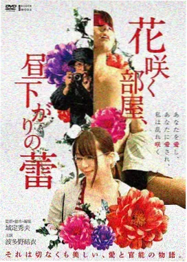作品详情封面
